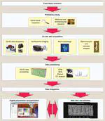 A Web-based system for data integration and visualization of the ancient colour