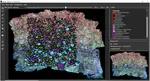 TagLab: AI-assisted annotation for the fast and accurate semantic segmentation of coral reef orthoimages